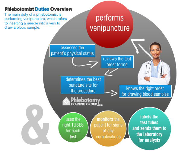 Venipuncture, the main duty of a phlebotomist.