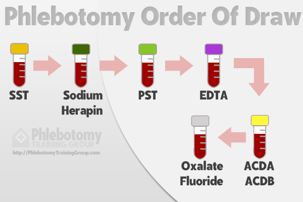 Chart explaining what is phlebotomy order of draw.