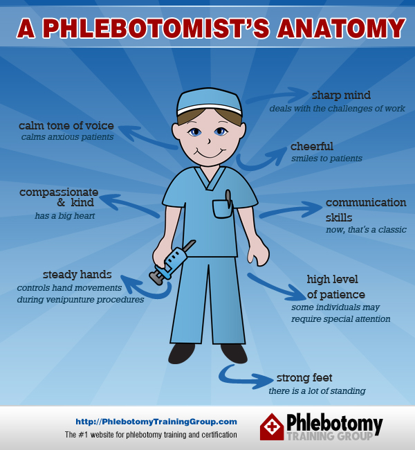 Anatomy of a Phlebotomist - Traits